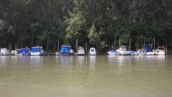 Pequenos Barcos Pesca Ancorados Rivers Shore — Fotografia de Stock