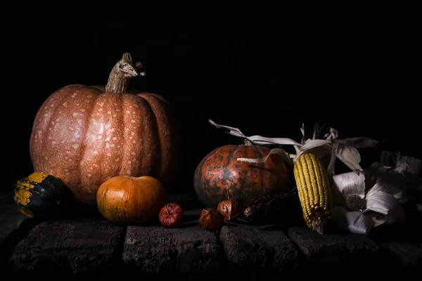 Citrouilles Automne Maïs Sur Une Surface Bois Rustique Thanksgiving Day — Photo