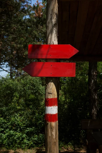 Ormanda Ahşap Ok Yönlü İşaretli Tabela — Stok fotoğraf
