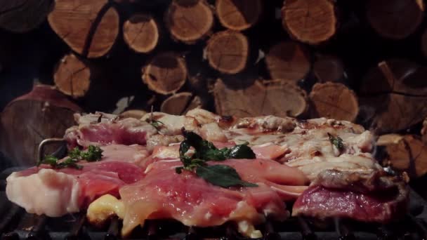 Barbecue Con Carne Maiale Carne Pollo Grigliate — Video Stock