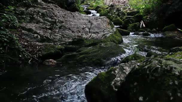 Cascadas Pendientes Myra Falls Muggendorf Baja Austria — Vídeos de Stock