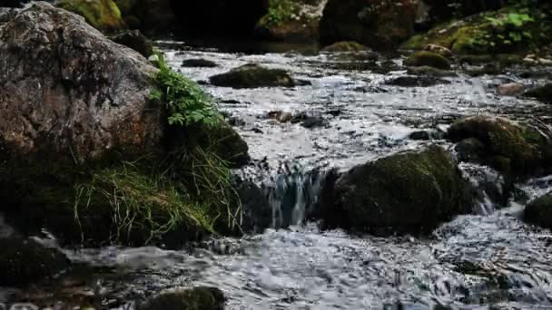Cascadas Pendientes Myra Falls Muggendorf Baja Austria — Vídeo de stock