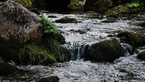 Wasserfälle Und Hänge Myra Stürzt Muggendorf Niederösterreich — Stockvideo