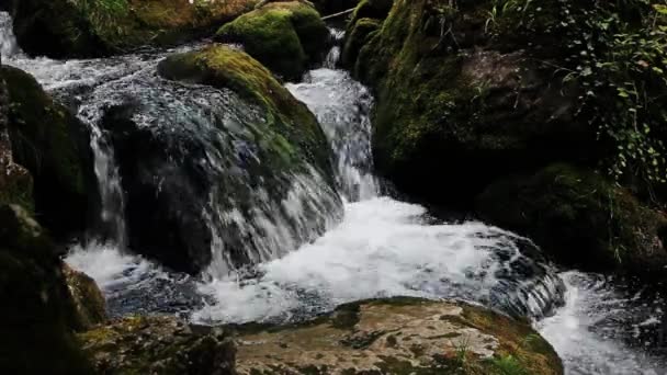 瀑布和斜坡 迈拉瀑布 在下奥地利的穆根多夫 — 图库视频影像