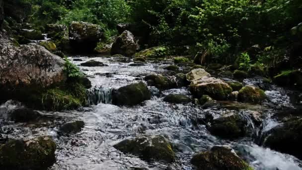 Водопады Склоны Myra Falls Muggendorf Lower Austria — стоковое видео