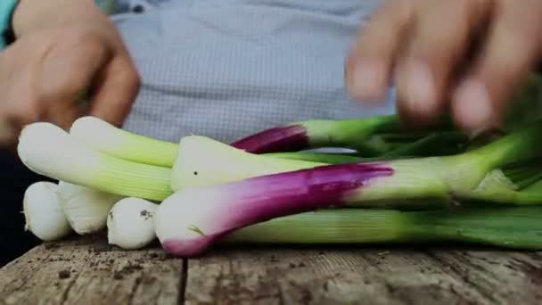 Fresca Cipolla Verde Raccolto Vecchia Donna Giardino — Video Stock