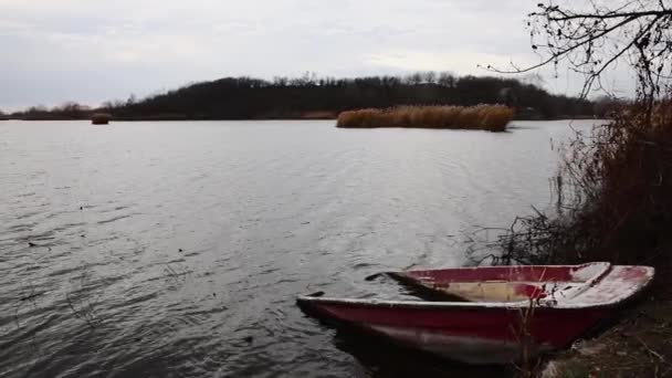 Sunken Boat Lakes Shore Slow Motion Video 60Fps — Stock Video