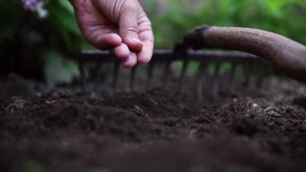 Planting Organic Seeds Garden — Stock Video