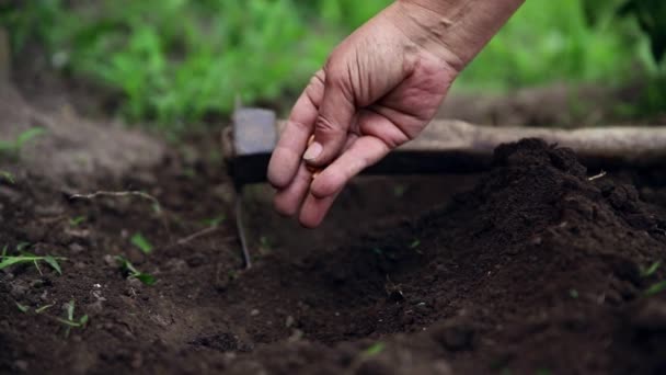 Bio Saatgut Den Garten Pflanzen Und Erde Gießen — Stockvideo