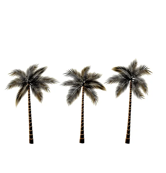 Palmen Isoliert Auf Weißem Hintergrund Illustration — Stockfoto