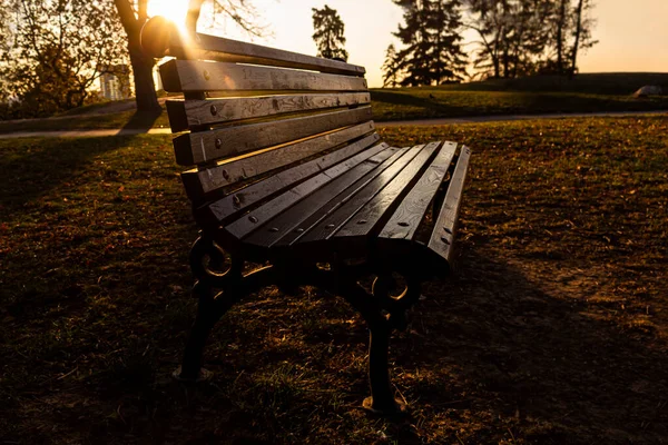 Bench at sunset in autumn at city park shined by the sun. Golden hour sunset