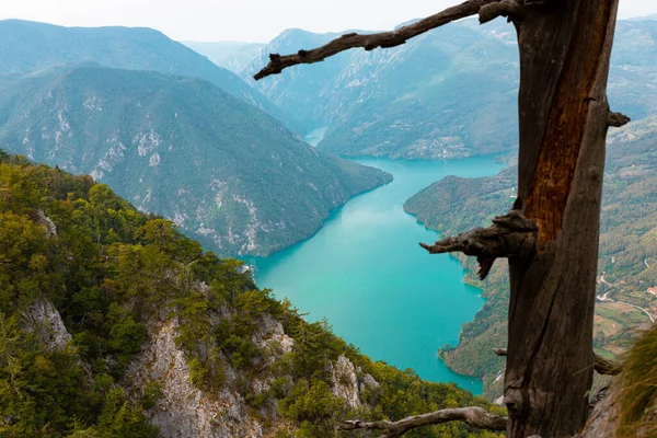塞尔维亚塔拉国家公园 Banjska Stena观点 德里纳河峡谷和佩鲁卡湖景 — 图库照片
