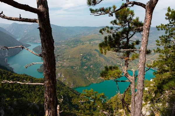 세르비아타라 Banjska Stena 드리나 협곡과 호수에서 호수와 협곡에 초점을 — 스톡 사진