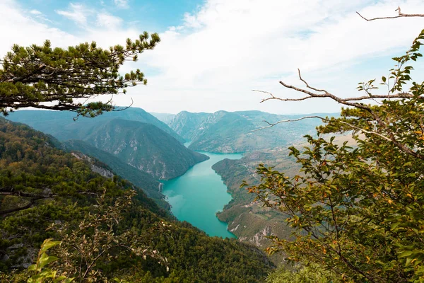 塞尔维亚塔拉国家公园 Banjska Stena观点 参观德里纳河峡谷和佩鲁卡湖 重点是湖泊和峡谷 — 图库照片