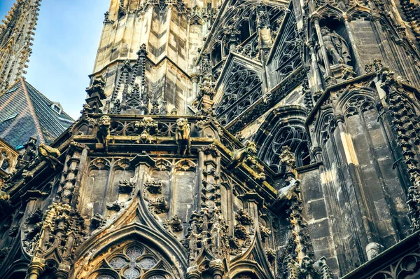 Wien Österrike Stephansdom Stefansdomen Stephansplatz Detaljer Arkitektur Och Gargoyles Statyer — Stockfoto