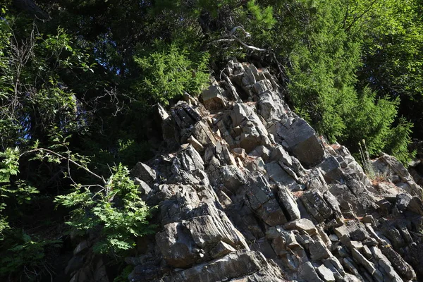 Jungle Cliff Weathered Dissected Rocks Nagy Zöld Fák Buja Koronák — Stock Fotó