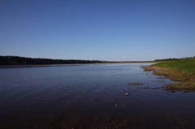 Su yüzeyinde dalgalanmalar ve ufukta yeşil bir kıyı ve çam ağaçları olan güzel su manzarası. Bir yaz günü geniş nehrin manzarası. Rusya