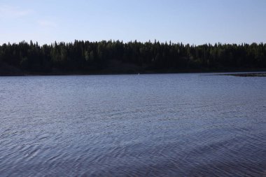 Nehrin diğer yakasının görüntüsü. Uzakta tek bir şamandıra ve ufukta ormanın görüntüsü. Kasvetli bir sabah, hafif bir siste..