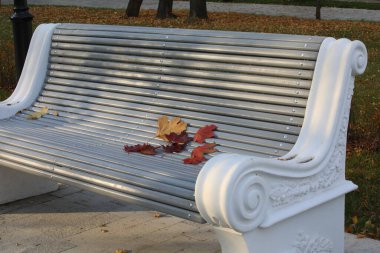 Park 'ta tenha bir bank. Düşmüş akçaağaç yapraklarıyla dolu bir sonbahar sahnesi. Akşam güneşinin ışığında dinlenmek için güzel bir yer.