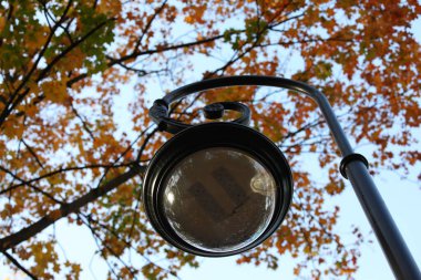 Lamba izole edilmiş. Metal tabanlı modern sokak lambası ve ışığı yansıtan cam bir top. Turuncu yapraklardan oluşan bir arka planda kavisli bir sütunun alt görüntüsü.