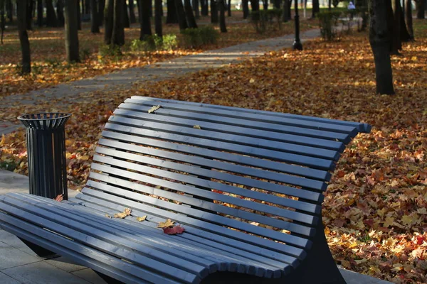Bank Herbstlichen Park Allee Ohne Menschen Ruhe Entspannen — Stockfoto