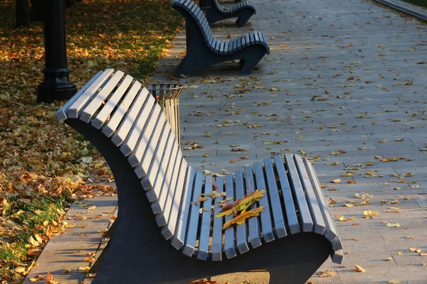 Wooden bench on the path in the Park covered with fallen colorful leaves.Yellowed foliage on the seat and lawn.Autumn street with a row of benches in the evening sunlight