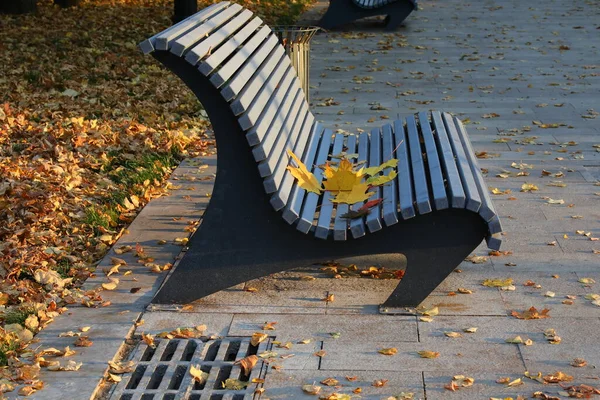 Cierre Banco Madera Vacío Con Hojas Caídas Parque Abandonado Otoño — Foto de Stock