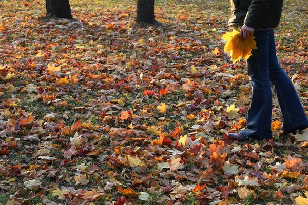 Une Personne Jean Marche Sur Tapis Feuillage Multicolore Tombé Illuminé — Photo