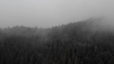 Dağların tepesinde bulutların arasında uçuyor. Hareket eden yağmur sisi. Yağmur mevsiminde doğa.