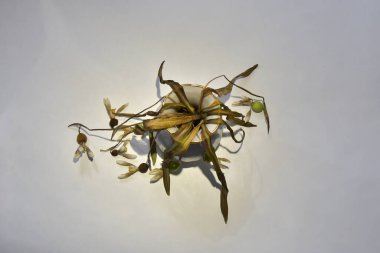 Vazodaki kurumuş kar damlaları beyaz bir zemine gölge düşürüyor.