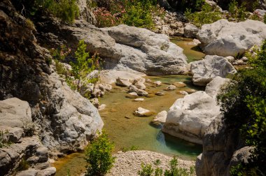 Bitkiler ile dağlarda inanılmaz güzel nehir