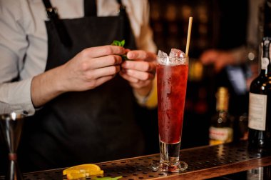 Profesyonel barmen nane ekleyerek bırakır bir lezzetli taze kırmızı barda kokteyl sayaç