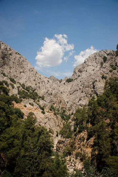 Csodálatos Alulnézet Magas Ősi Lycian Háttér Kék Napsütéses Napon — Stock Fotó