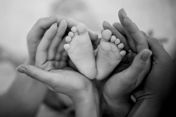 Mamma Och Pappa Håller Sin Dotter Händer Fötter Sängen Deras — Stockfoto