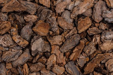 Arka plan doku kaotik bir şekilde içinde ağaç kabuğu orta şekil kahverengi parçaları