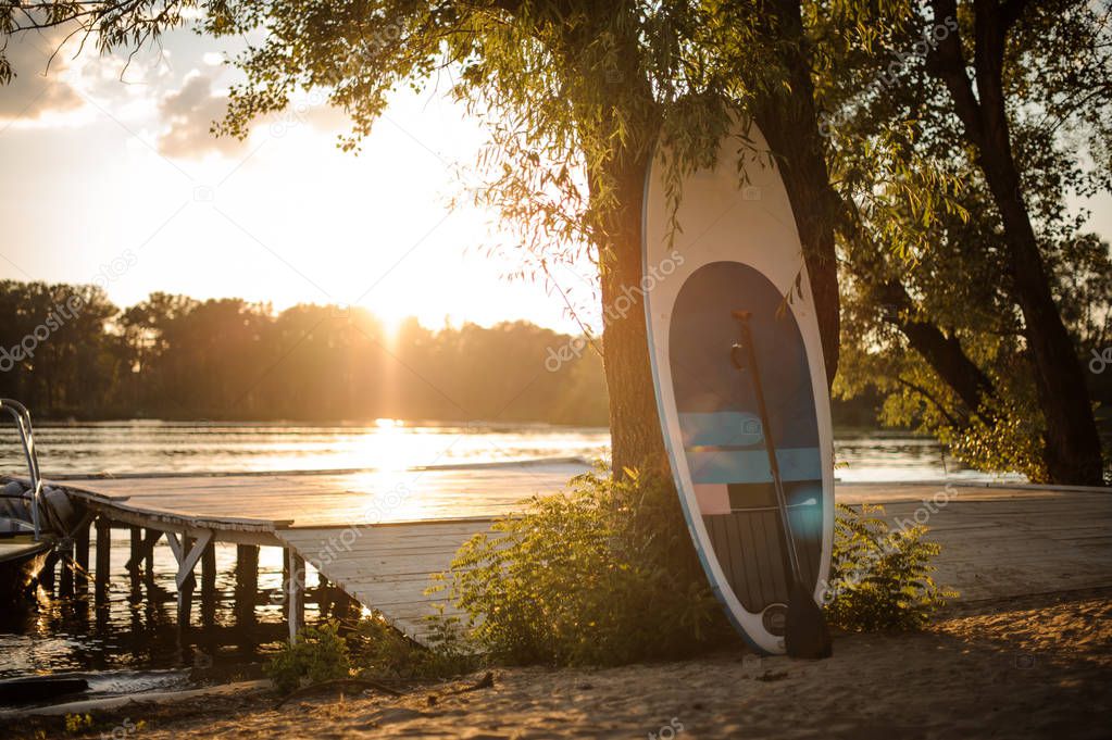 White and blue sup board with paddle standing near the tree on the lakeside on the beautiful background on the sunset