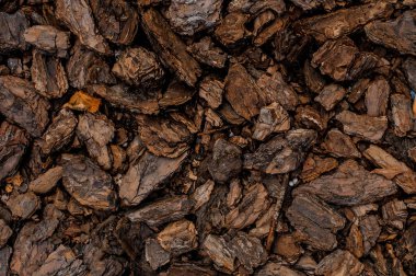 Dokulu arka plan duvar kağıdı kahverengi kuru ahşap parçaları birlikte geldi düzenlenmiş üstten görünüm