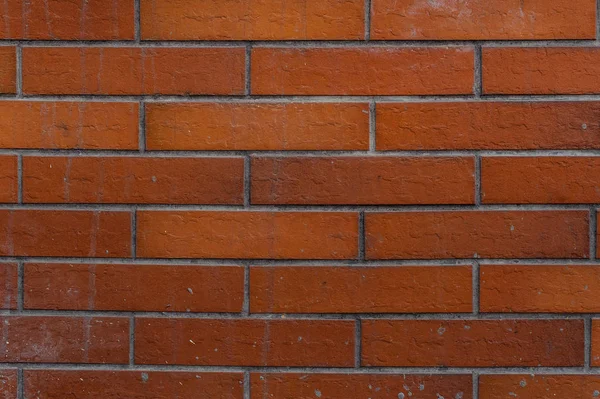 新しい外壁のコンクリート長方形茶色の滑らかなレンガの間の線の写真をクローズ アップ — ストック写真