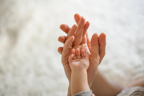 Nahaufnahme Von Mutter Vater Und Baby Auf Dem Hellen Hintergrund — Stockfoto