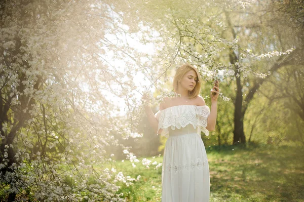 Mooi Portret Van Romantische Vrouw Witte Jurk Buurt Van Bloeiende — Stockfoto