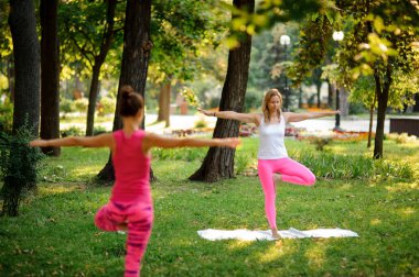 Yaz günü sıcak güneşli bir parkta iki kadın yeşil Yoga egzersizleri yapıyor çimen