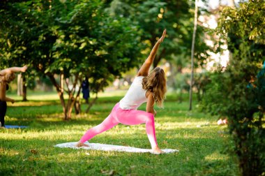Genç kadın bir yeşil yaz parkta çimlerde yoga egzersizleri yaparken arkadan görünüm