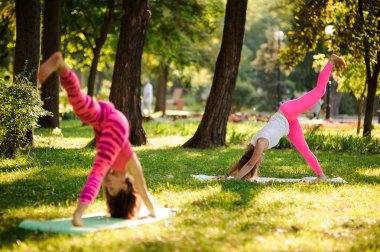 Yaz günü sıcak güneşli bir parkta iki kadın bacak yeşil yukarı kaldırarak yoga egzersizleri yapıyor çimen