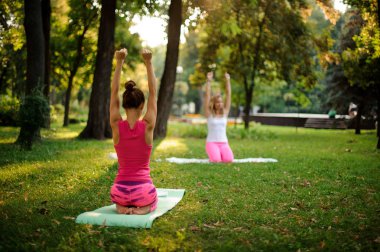 Grup Genç ve ince kadın parkta yeşil çimenlerin üzerinde yoga egzersizleri yapıyor
