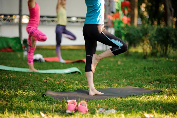 Group Women Doing Yoga Exercises Green Grass Park Legs Shot — Stock Photo, Image