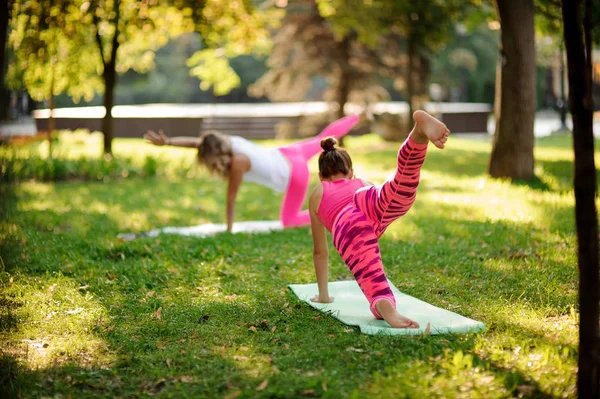 Zwei Schlanke Frauen Bei Yoga Übungen Auf Dem Grünen Rasen — Stockfoto