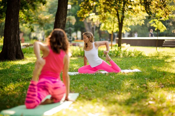 Young Slim Women Doing Yoga Exercises Green Grass Lovely Park — Stock Photo, Image