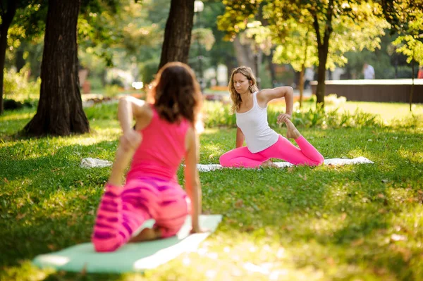 Women Doing Yoga Exercises Green Grass Lovely Park Warm Sunny — Stock Photo, Image