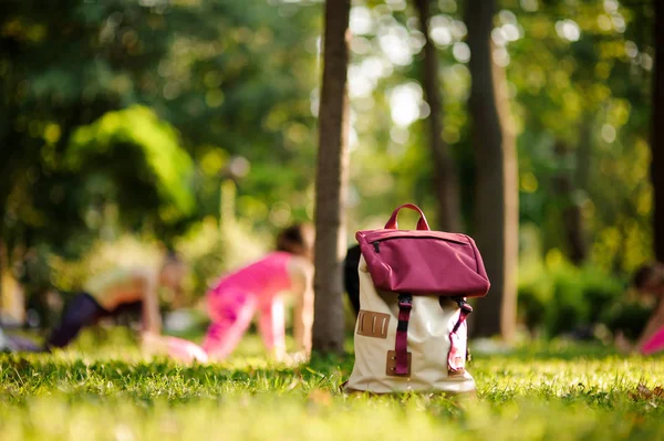 Backpack Grass Green Park Summer Day Background Yoga Class — Stock Photo, Image