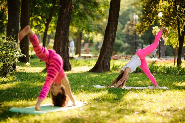Two women doing yoga exercises lifting leg up on the green grass in a park on warm sunny summer day